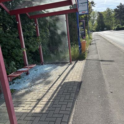 Bild vergr&ouml;&szlig;ern: a96cce13c0584aa15d939e560a1e6d88_g
