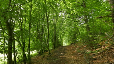 Wanderung Wolferode SW1