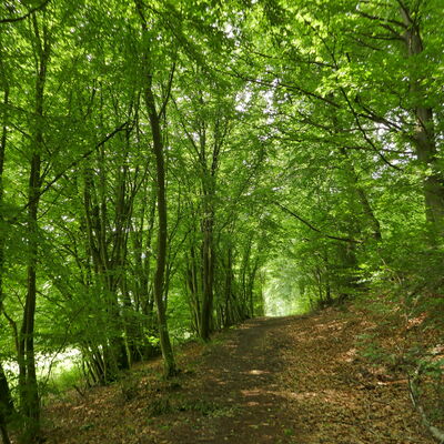 Wanderung Wolferode SW1