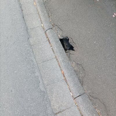 Bild vergr&ouml;&szlig;ern: 47f3dd404899d955a4b31b175fbe269a_g