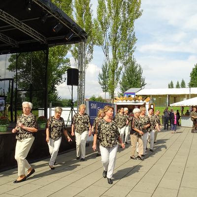 Bild vergrößern: Heimat- und Soldatenfest 2017_27