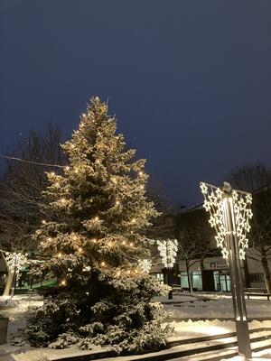 Bild vergrößern: Weihnachtsbaum mit Schnee auf dem Marktplatz