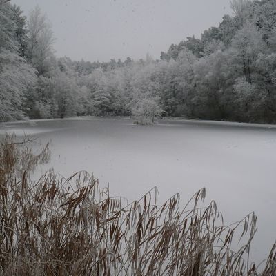 Bild vergrößern: Georgsteich im Winter